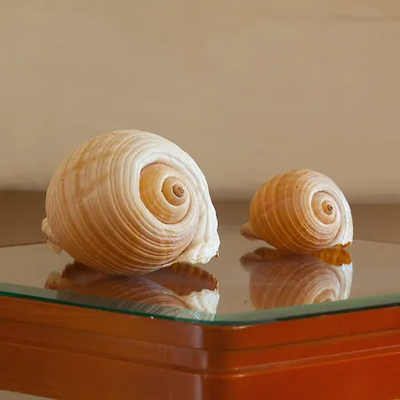 Hotel Pavlos